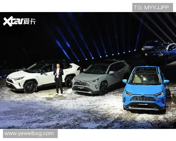 重庆排球队在洲际杯中的蜕变与未来发展之路探秘